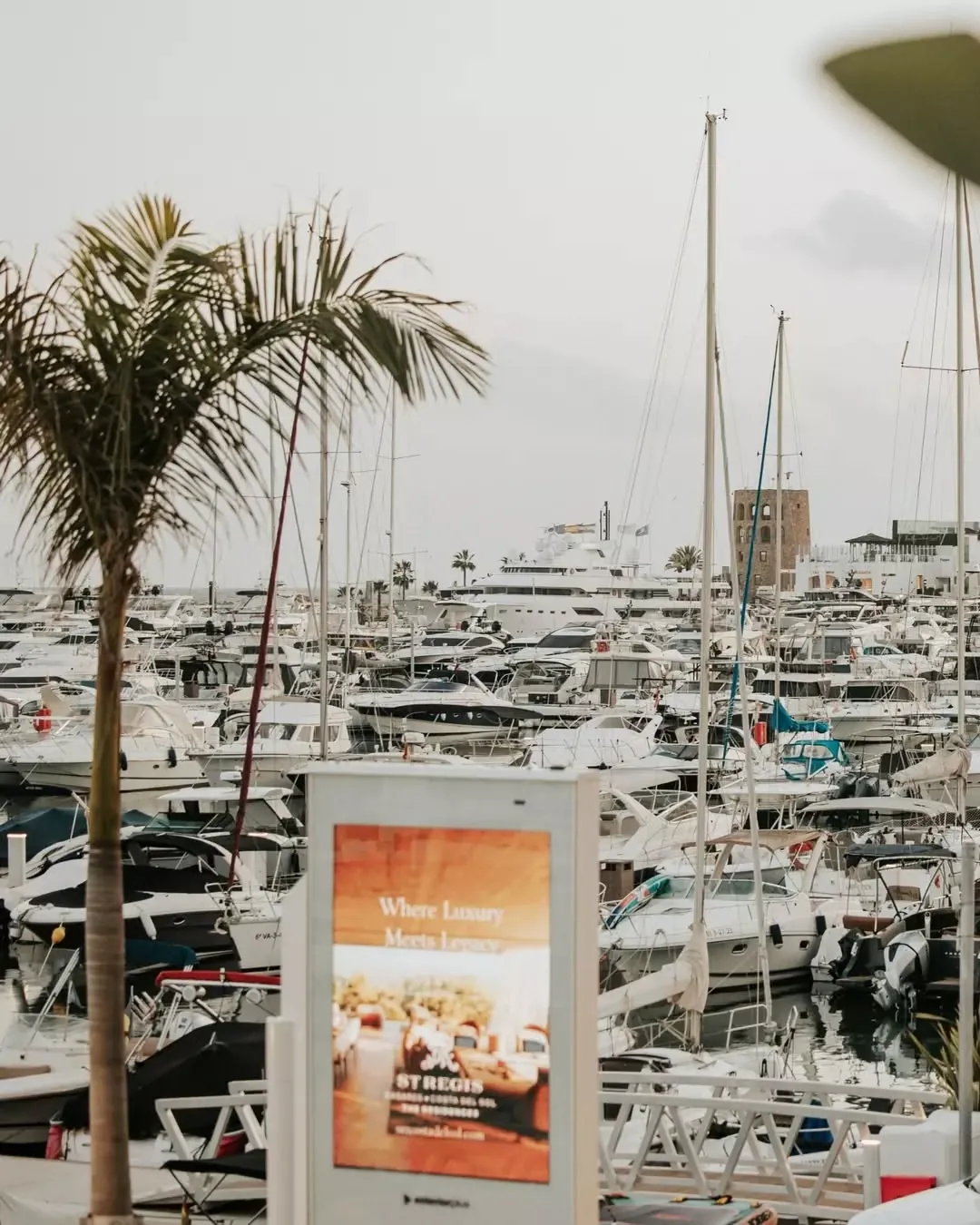 Yachts, masts and palms in Puerto Banus marina